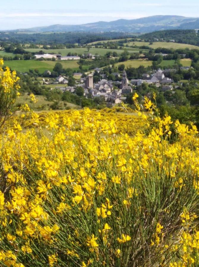 Le Gite De La Vieille Eglise De Coussergues エクステリア 写真